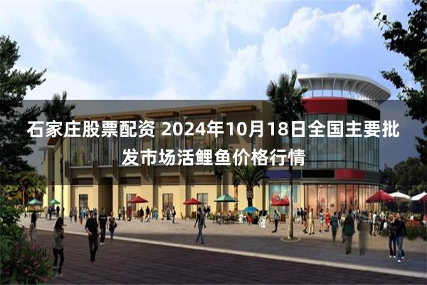 石家庄股票配资 2024年10月18日全国主要批发市场活鲤鱼