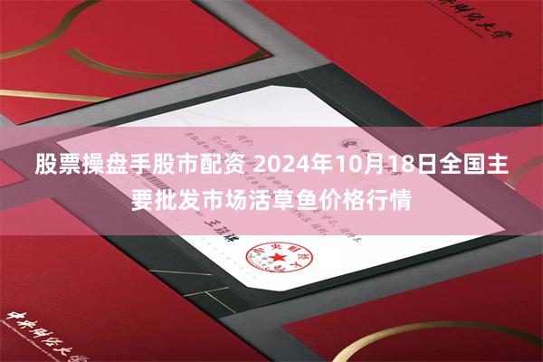 股票操盘手股市配资 2024年10月18日全国主要批发市场活