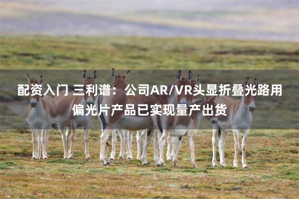 配资入门 三利谱：公司AR/VR头显折叠光路用偏光片产品已实