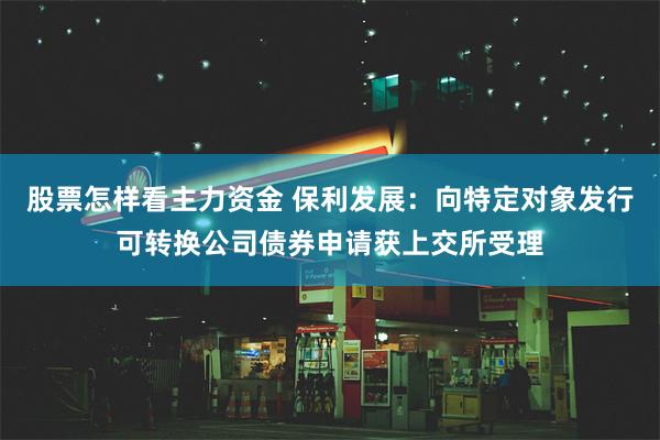 股票怎样看主力资金 保利发展：向特定对象发行可转换公司债券申请获上交所受理