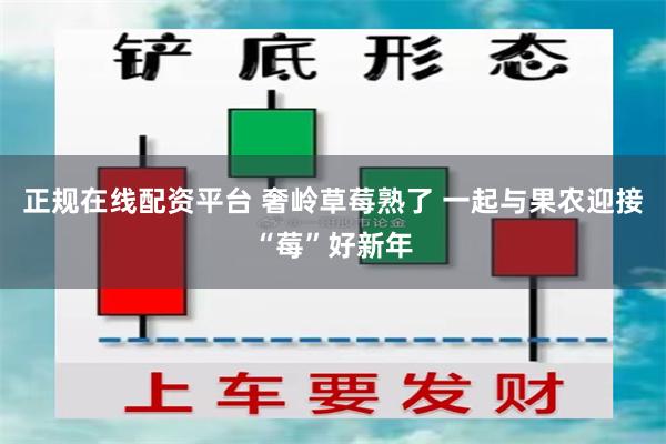 正规在线配资平台 奢岭草莓熟了 一起与果农迎接“莓”好新年