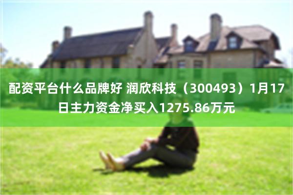 配资平台什么品牌好 润欣科技（300493）1月17日主力资