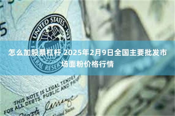 怎么加股票杠杆 2025年2月9日全国主要批发市场面粉价格行情