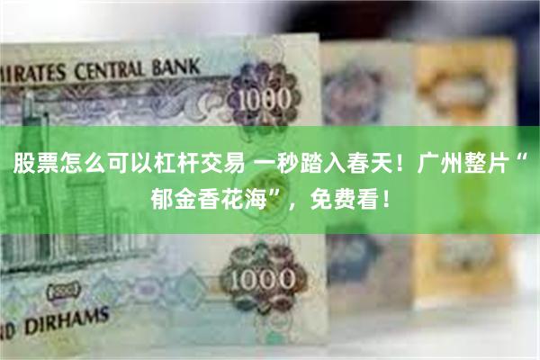 股票怎么可以杠杆交易 一秒踏入春天！广州整片“郁金香花海”，